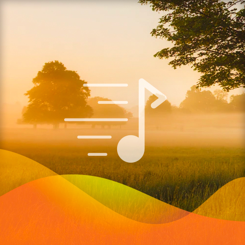 Easily Download Traditional Folksong Printable PDF piano music notes, guitar tabs for Banjo Tab. Transpose or transcribe this score in no time - Learn how to play song progression.