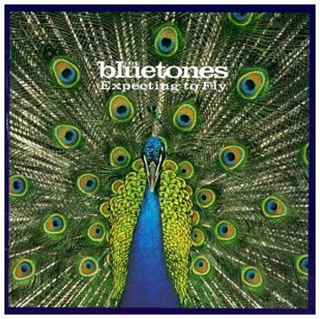 The Bluetones Bluetonic Profile Image