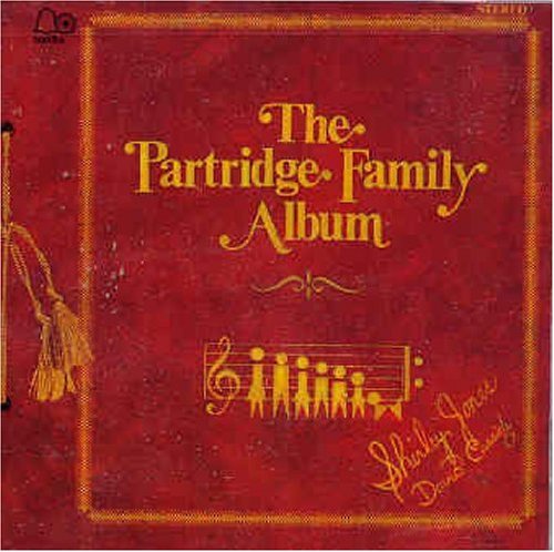 The Partridge Family I Think I Love You Profile Image