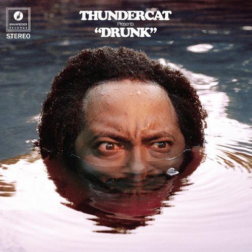 Easily Download Thundercat Printable PDF piano music notes, guitar tabs for Bass Guitar Tab. Transpose or transcribe this score in no time - Learn how to play song progression.