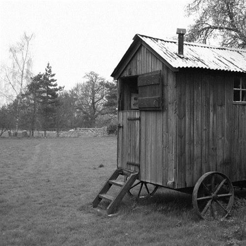 Charles Collins & Tom Mellor I Wouldn't Leave My Little Wooden Hut For You Profile Image