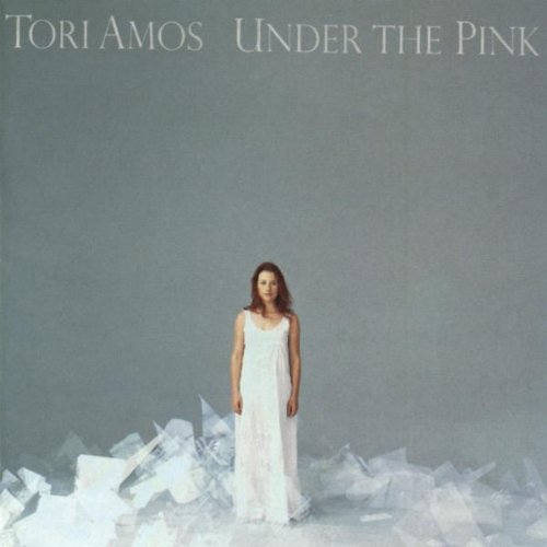 Easily Download Tori Amos Printable PDF piano music notes, guitar tabs for Guitar Chords/Lyrics. Transpose or transcribe this score in no time - Learn how to play song progression.