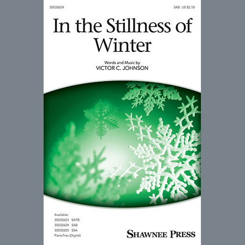 In The Stillness Of Winter cover image