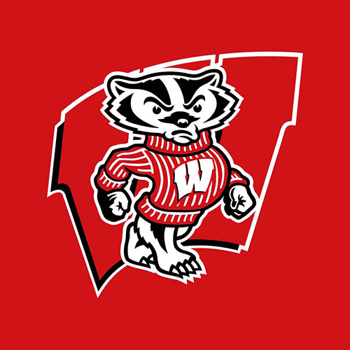 On Wisconsin! cover image