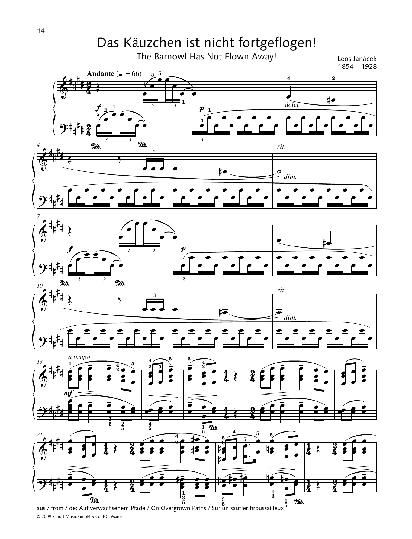 Learn to play Leos Janácek The Barnowl has not Flown Away! sheet music for Piano Solo in minutes. Price: 6.9900$ Leos Janácek The Barnowl has not Flown Away! sheet music notes and chords arranged for Piano Solo