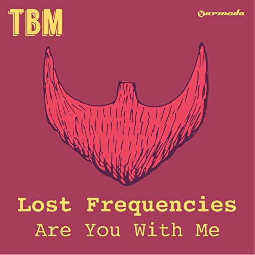 Lost Frequencies Are You With Me Profile Image