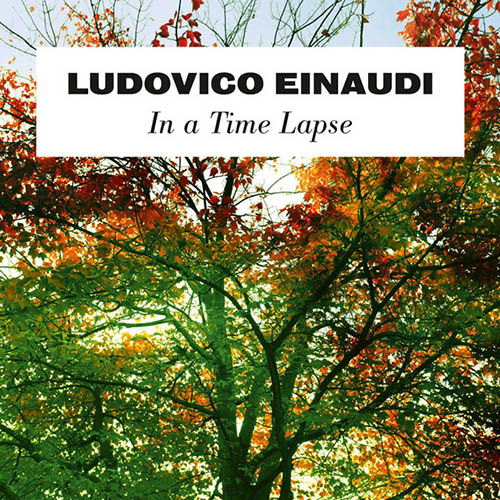 Ludovico Einaudi Experience Profile Image