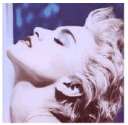 Madonna True Blue Profile Image