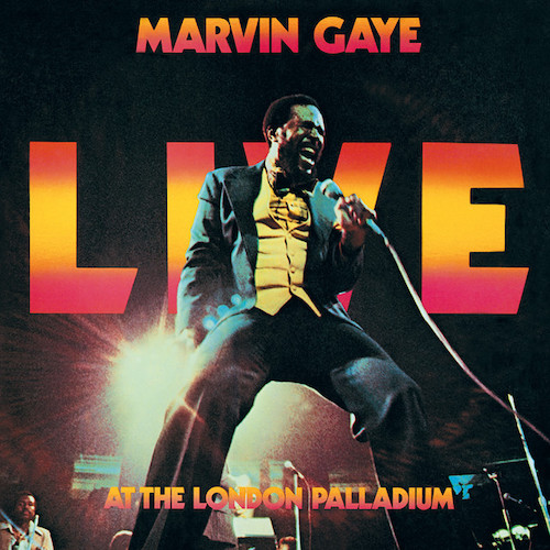 Marvin Gaye Got To Give It Up Profile Image
