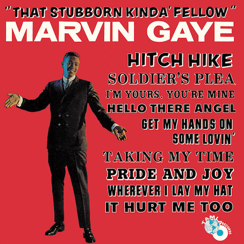 Marvin Gaye Hitch Hike Profile Image