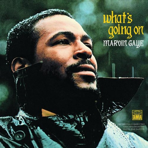 Marvin Gaye What's Going On Profile Image