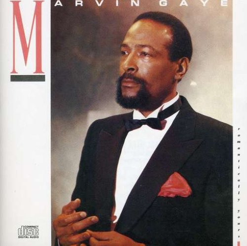 Marvin Gaye Why Did I Choose You? Profile Image