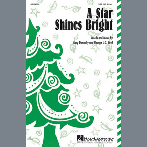 A Star Shines Bright cover image