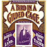 Download or print Maurice J. Gunsky A Bird In A Gilded Cage Sheet Music Printable PDF 5-page score for Pop / arranged Piano, Vocal & Guitar Chords SKU: 122787