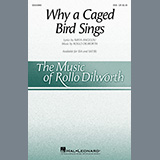 Download or print Maya Angelou and Rollo Dilworth Why A Caged Bird Sings Sheet Music Printable PDF 18-page score for Concert / arranged SSA Choir SKU: 460534