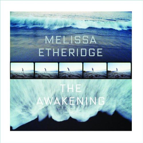 Melissa Etheridge The Universe Listened Profile Image