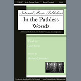 Download or print Michael Cleveland In The Pathless Woods Sheet Music Printable PDF 9-page score for Concert / arranged SSA Choir SKU: 431049