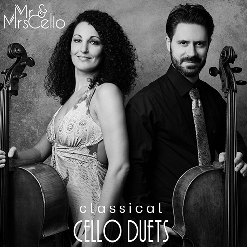 Mr & Mrs Cello The Swan Profile Image