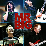 Download or print Mr. Big Stay Together Sheet Music Printable PDF 12-page score for Rock / arranged Guitar Tab SKU: 175659