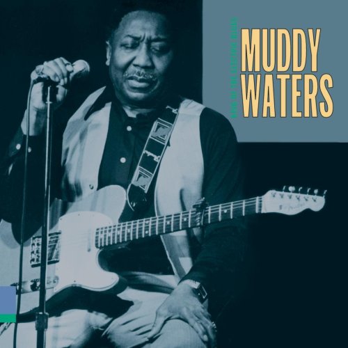 Muddy Waters Baby Please Don't Go Profile Image