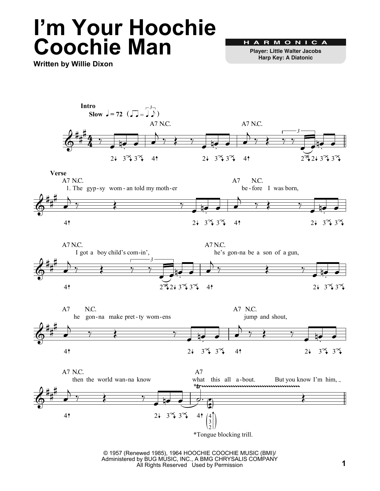 Muddy Waters (I'm Your) Hoochie Coochie Man sheet music notes and chords. Download Printable PDF.