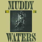 Download or print Muddy Waters Sad, Sad Day Sheet Music Printable PDF 10-page score for Pop / arranged Guitar Tab SKU: 171702