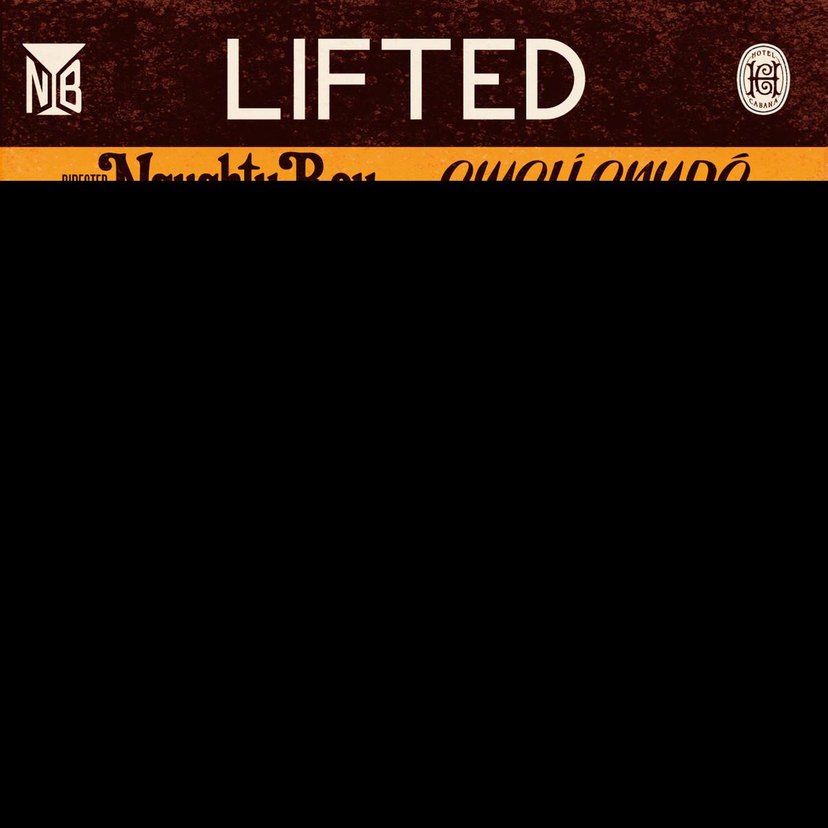 Lifted (feat. Emeli Sandé) cover image