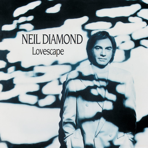 Neil Diamond All I Really Need Is You Profile Image