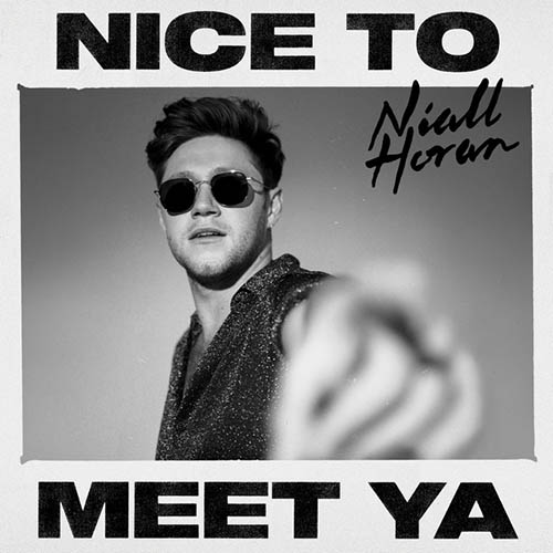 Niall Horan Nice To Meet Ya Profile Image