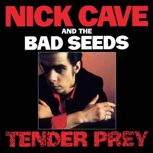 Nick Cave & The Bad Seeds Up Jumped The Devil Profile Image