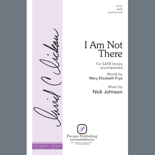 Nick Johnson I Am Not There Profile Image