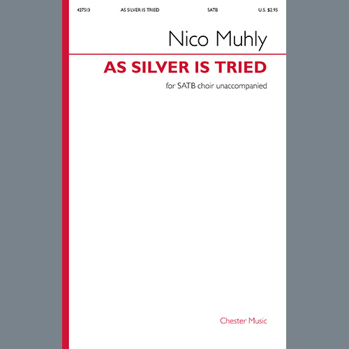 Nico Muhly As Silver Is Tried Profile Image