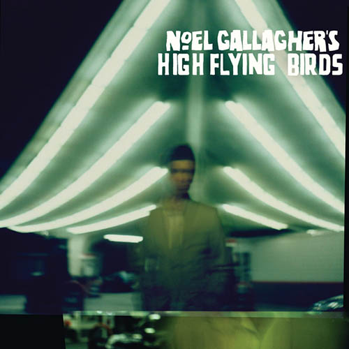Noel Gallagher's High Flying Birds (I Wanna Live In A Dream In My) Record Machine Profile Image