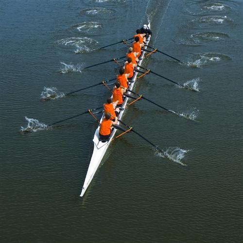 P. Guglielmo Rowing Profile Image