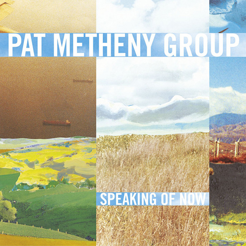 Pat Metheny Another Life Profile Image