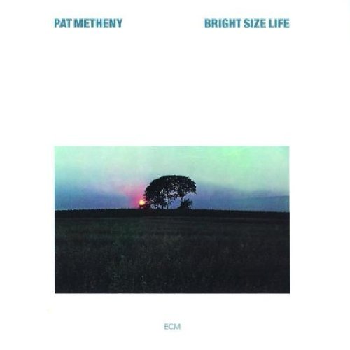 Pat Metheny Bright Size Life Profile Image