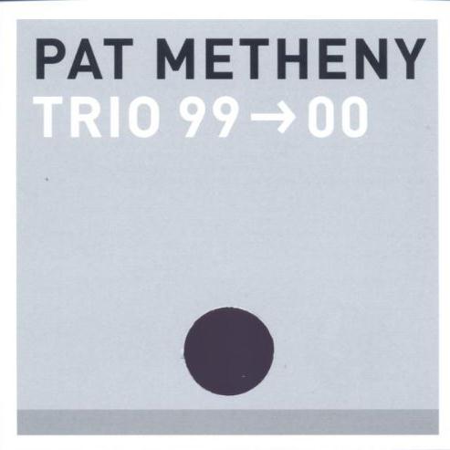 Pat Metheny What Do You Want? Profile Image