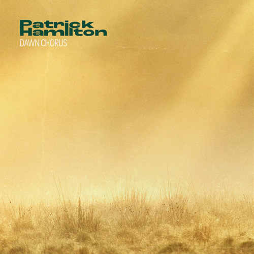 Patrick Hamilton Dawn Chorus Profile Image