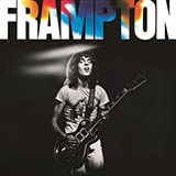 Download or print Peter Frampton Baby, I Love Your Way Sheet Music Printable PDF 5-page score for Pop / arranged Guitar Tab SKU: 62955
