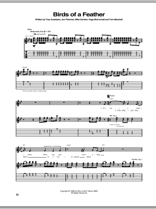 Phish Birds Of A Feather sheet music notes and chords. Download Printable PDF.