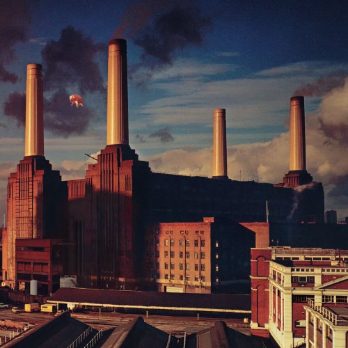 Pink Floyd Dogs Profile Image