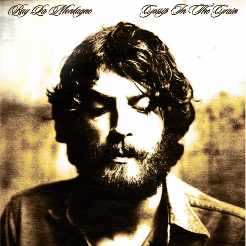 Ray LaMontagne You Are The Best Thing Profile Image