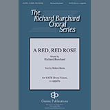 Download or print Richard Burchard A Red, Red Rose Sheet Music Printable PDF 11-page score for Concert / arranged SATB Choir SKU: 431029