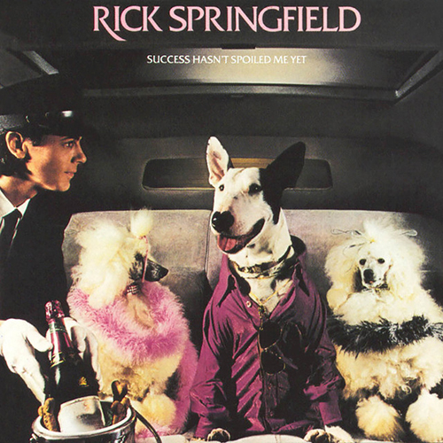 Rick Springfield Don't Talk To Strangers Profile Image