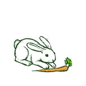 Traditional American Folksong Oh, John The Rabbit (arr. Robert I. Hugh) Profile Image