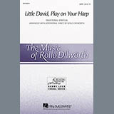 Download or print Rollo Dilworth Little David, Play On Your Harp Sheet Music Printable PDF 9-page score for Concert / arranged 2-Part Choir SKU: 161825