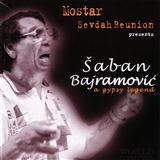 Download or print Saban Bajramovic Sila Kale Bal Sheet Music Printable PDF 2-page score for Folk / arranged Lead Sheet / Fake Book SKU: 122609