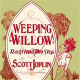 Download or print Scott Joplin Weeping Willow Rag Sheet Music Printable PDF 6-page score for Jazz / arranged Guitar Tab SKU: 121091