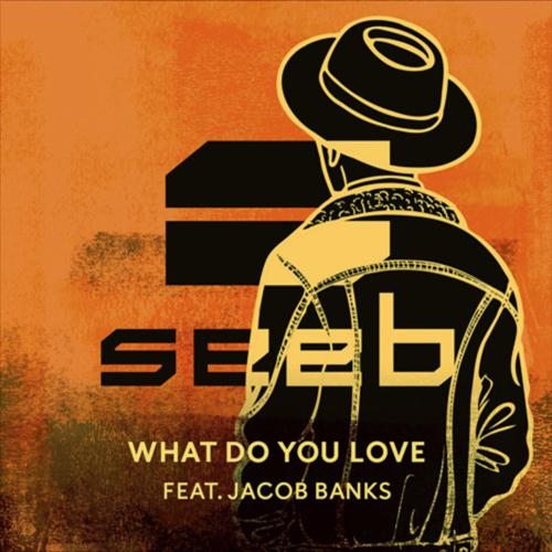 Seeb What Do You Love (feat. Jacob Banks) Profile Image