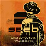 Download or print Seeb What Do You Love (feat. Jacob Banks) Sheet Music Printable PDF 7-page score for Pop / arranged Piano, Vocal & Guitar Chords SKU: 124195